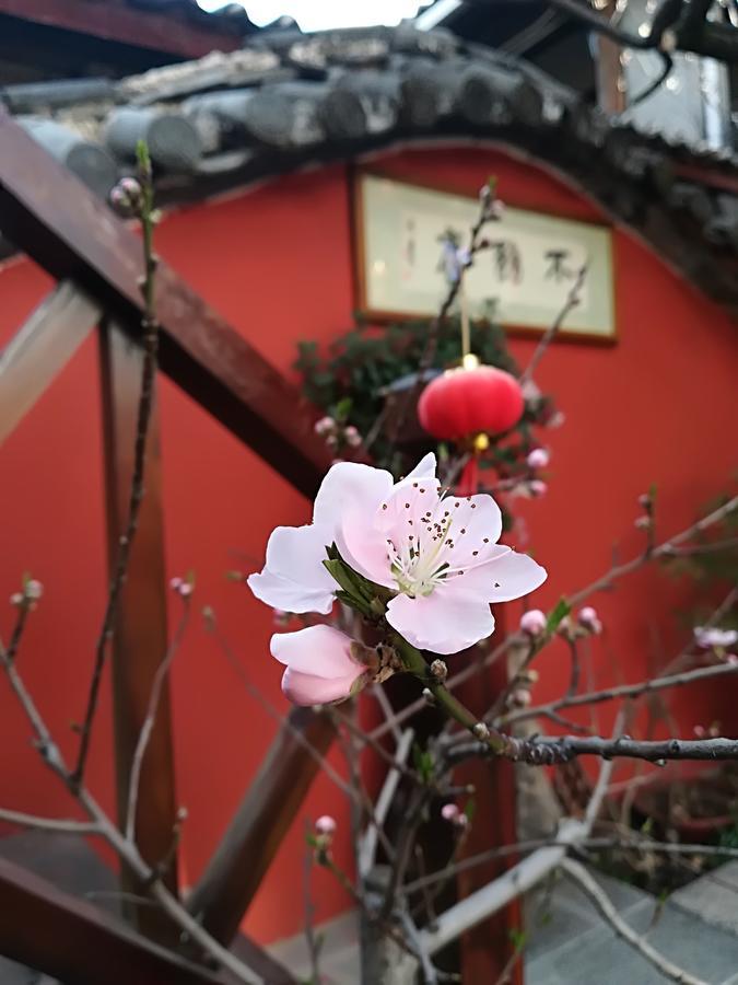 Lijiang Buwuzhai Inn Zewnętrze zdjęcie